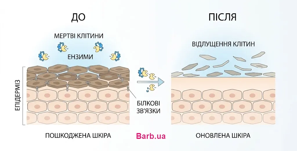 Как работает энзимный пилинг