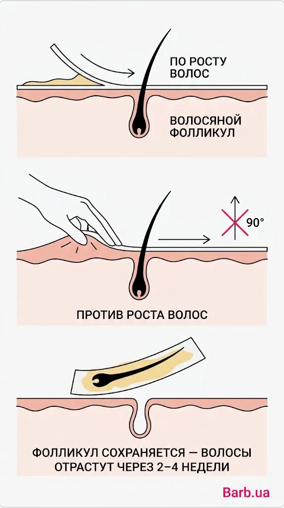 Схема: як користуватися восковими полосками