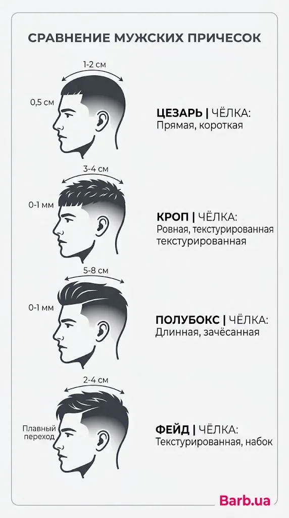 Инфографика - сравнение мужских стрижек цезарь, кроп, полубокс, фейд